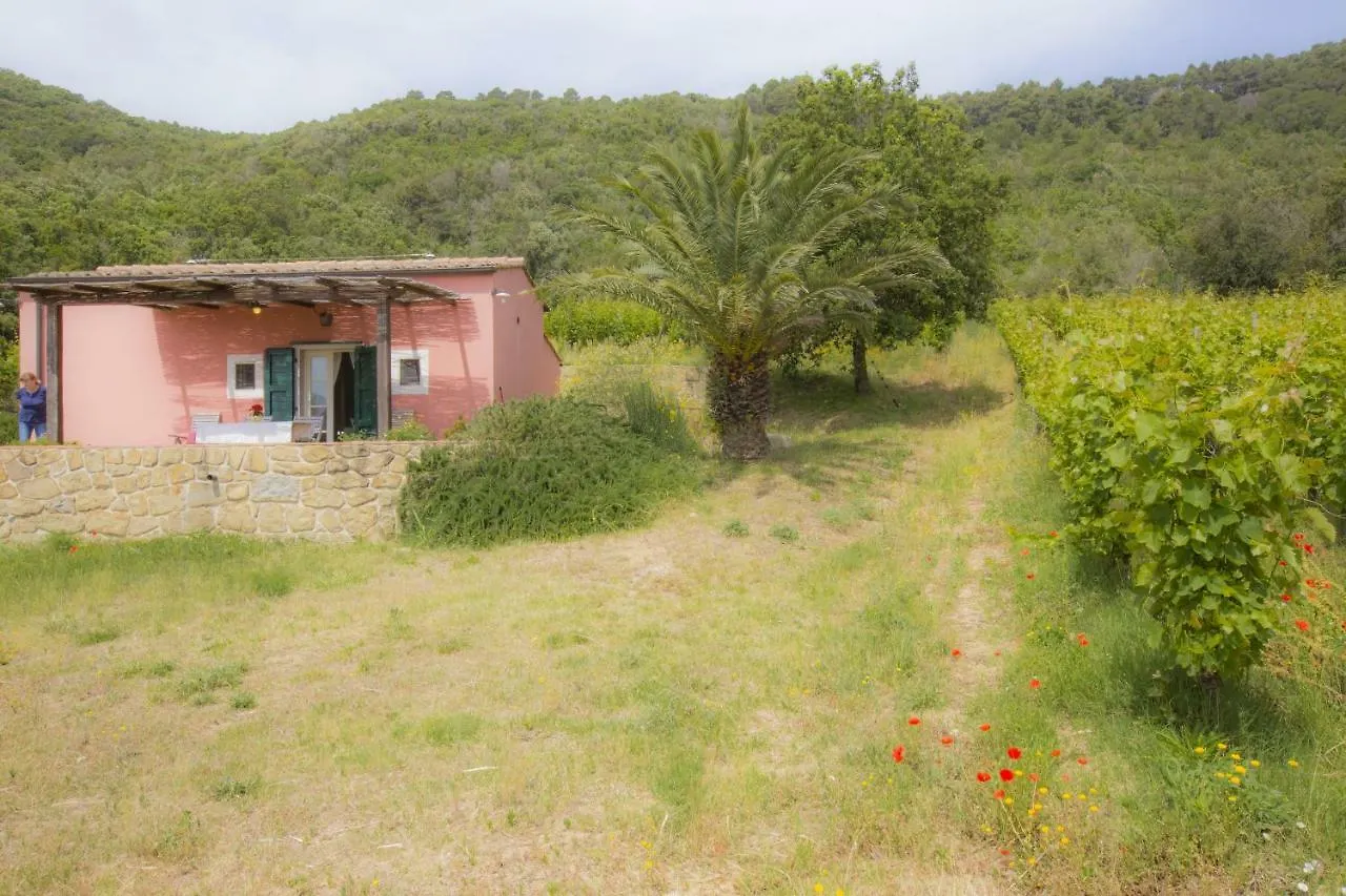 Appartamenti Valle Di Lazzaro Farkas Portoferraio Italy